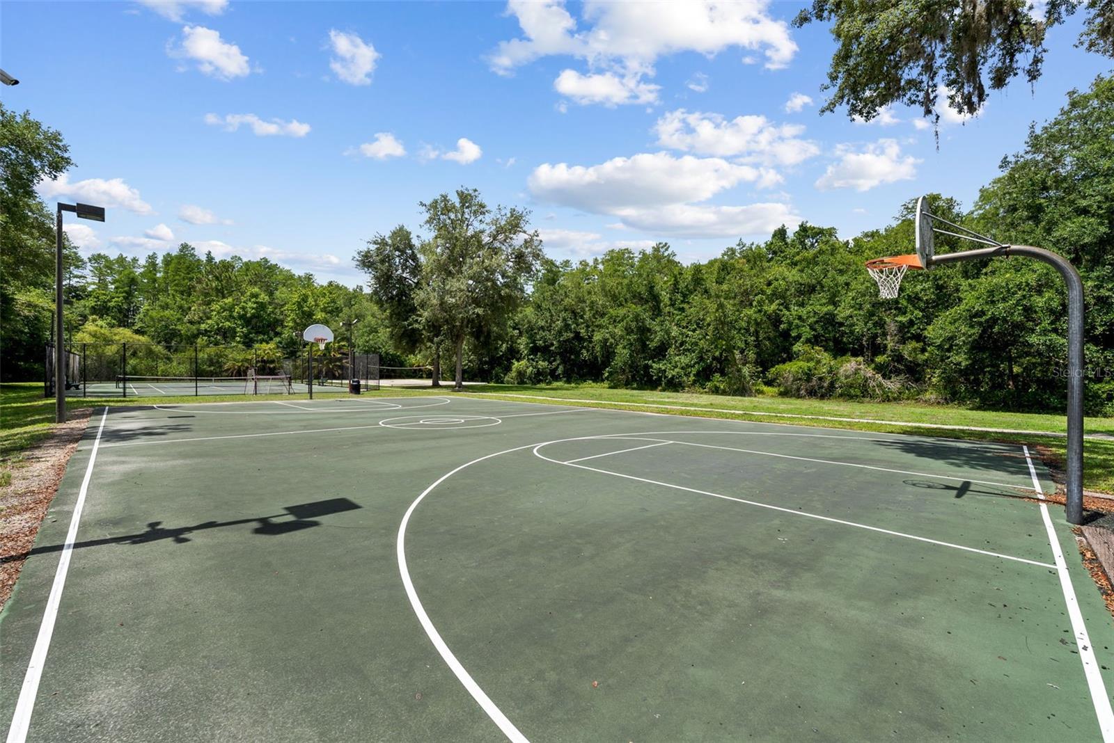 1536 ABYSS DR, ODESSA, FL, 33556