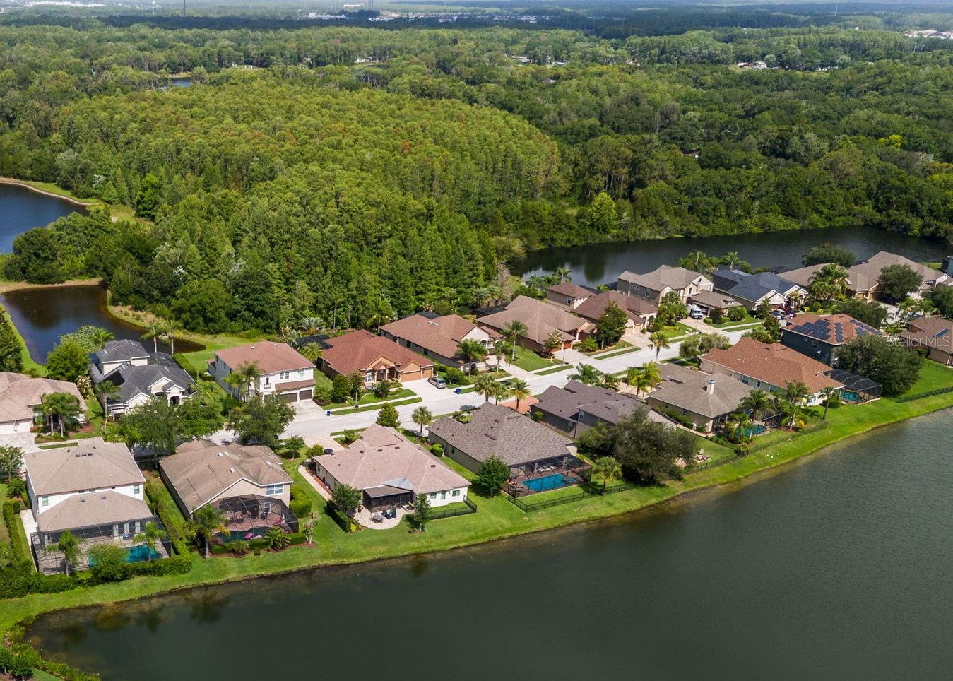 1536 ABYSS DR, ODESSA, FL, 33556