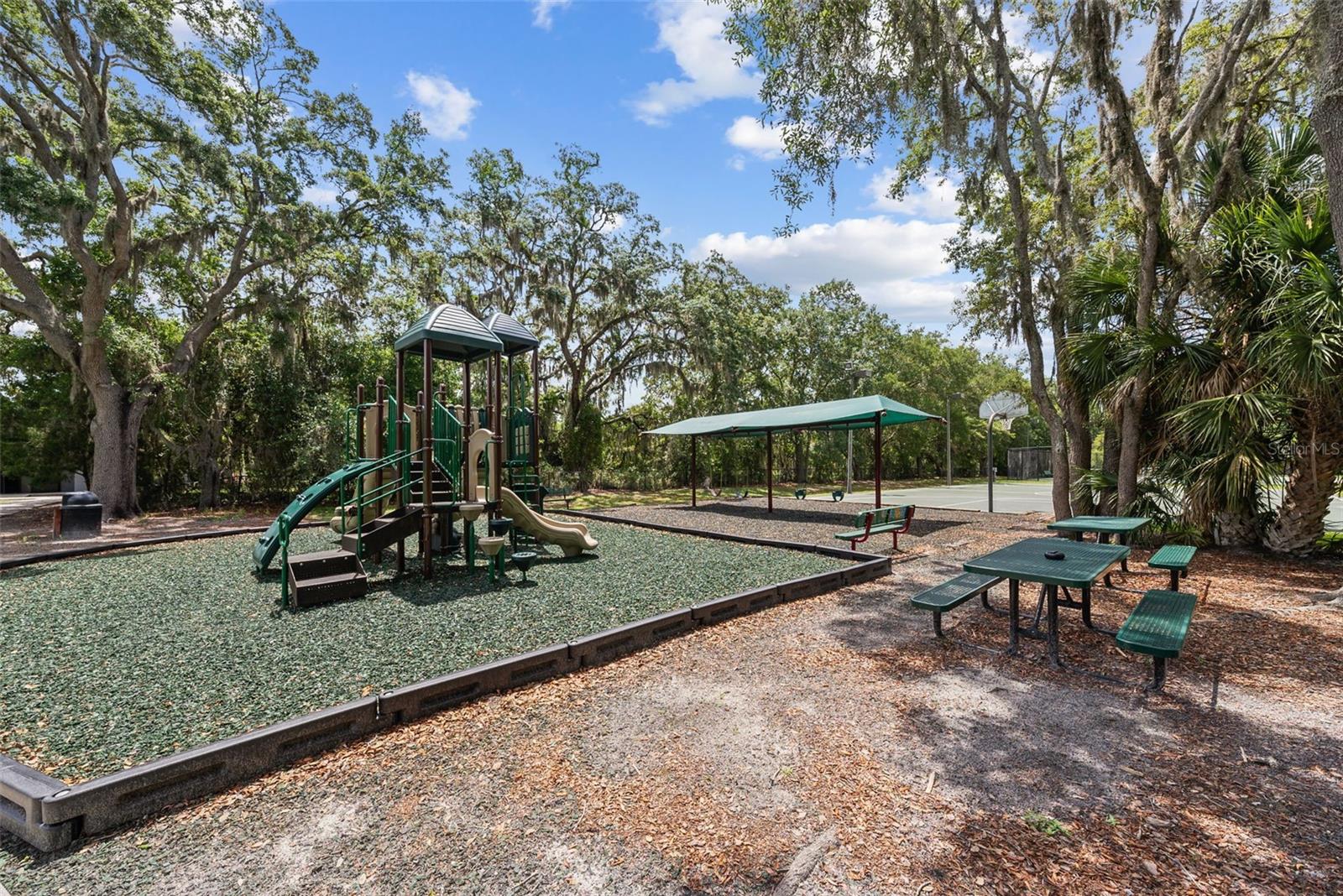 1536 ABYSS DR, ODESSA, FL, 33556