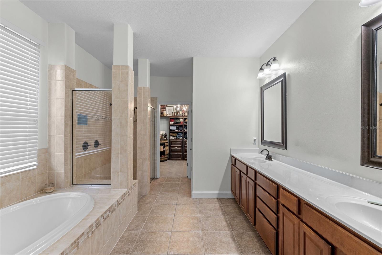 1536 ABYSS DR, ODESSA, FL, 33556
