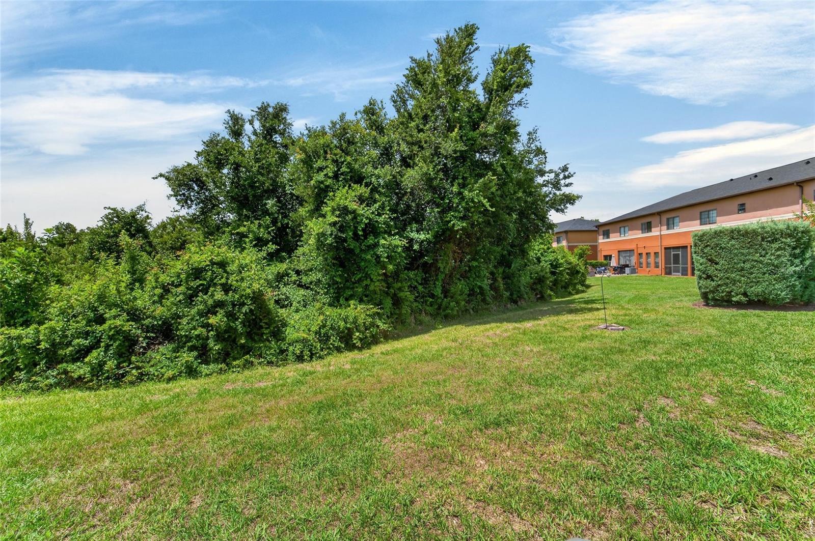30132 MOSSBANK DR, WESLEY CHAPEL, FL, 33543