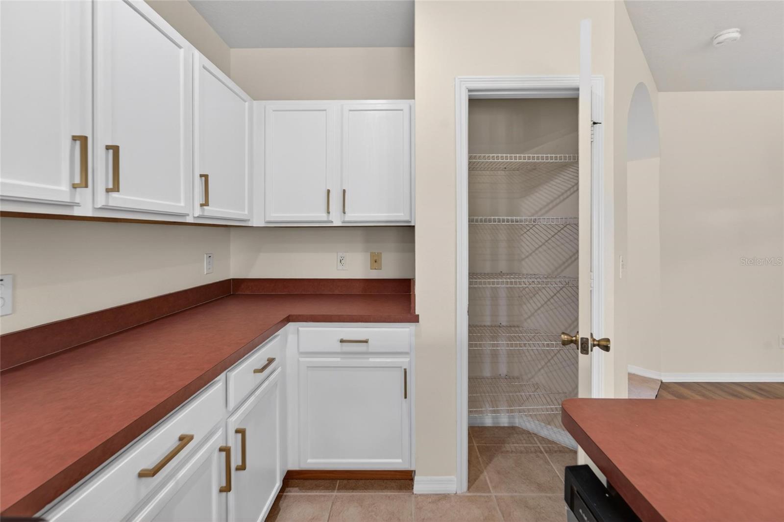 30132 MOSSBANK DR, WESLEY CHAPEL, FL, 33543