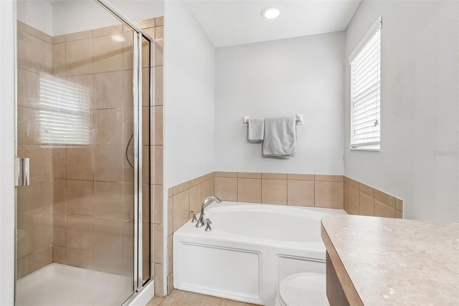 9421 TRUMPET VINE LOOP, TRINITY, FL, 34655