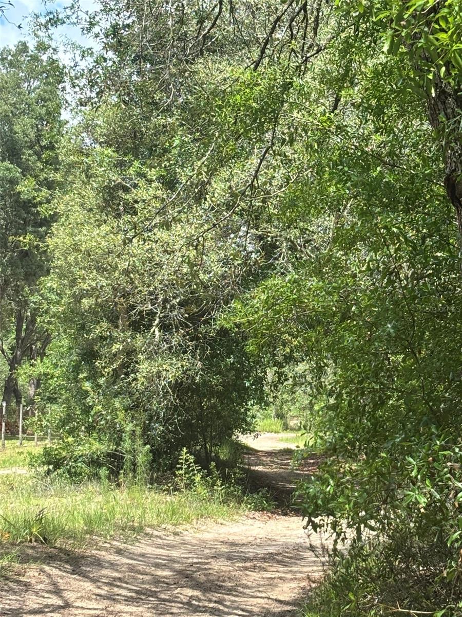 83RD LN, BRONSON, FL, 32621