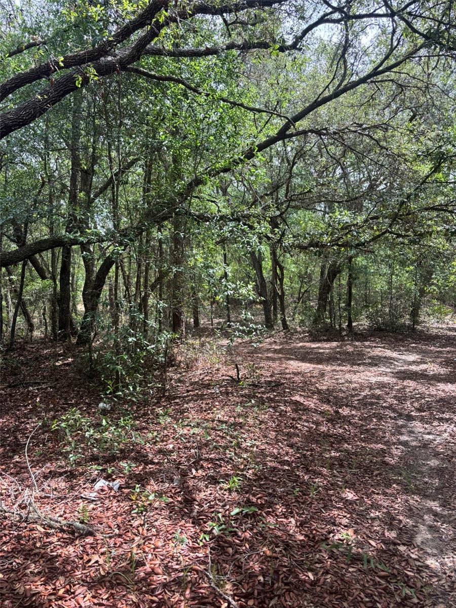 83RD LN, BRONSON, FL, 32621