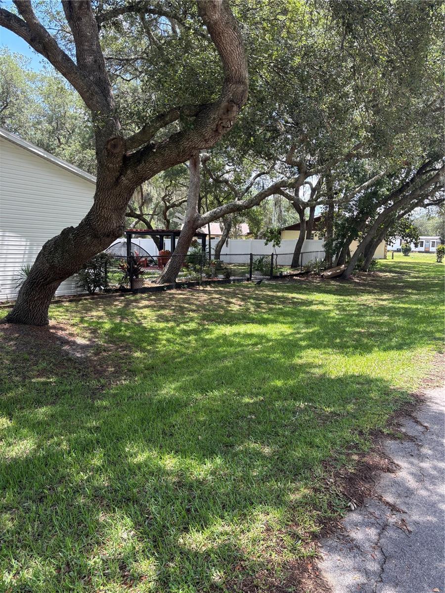 2391 SE 176TH AVE, SILVER SPRINGS, FL, 34488