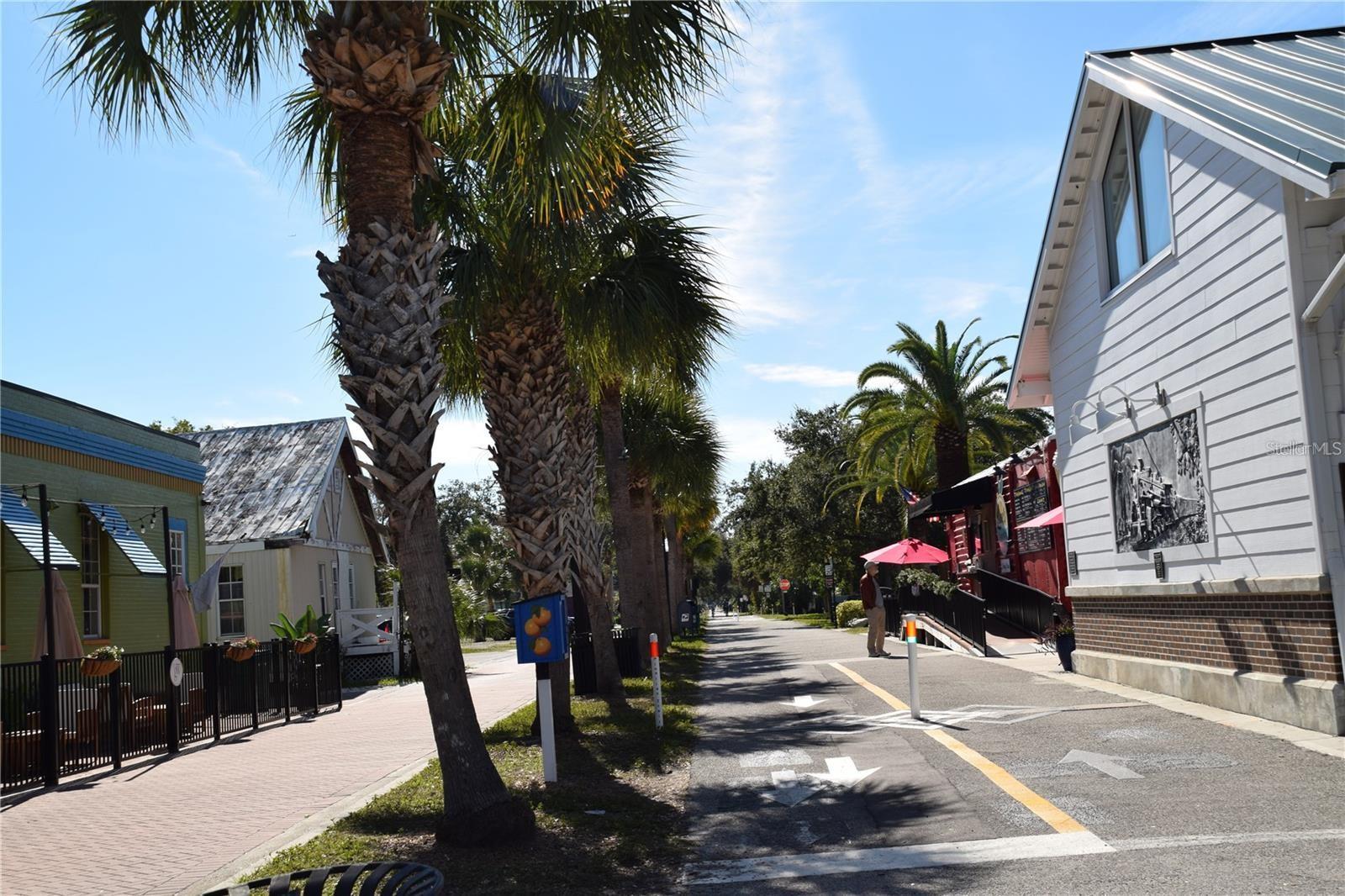 1455 FAIRWAY DR, DUNEDIN, FL, 34698