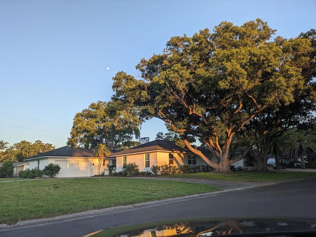 1455 FAIRWAY DR, DUNEDIN, FL, 34698