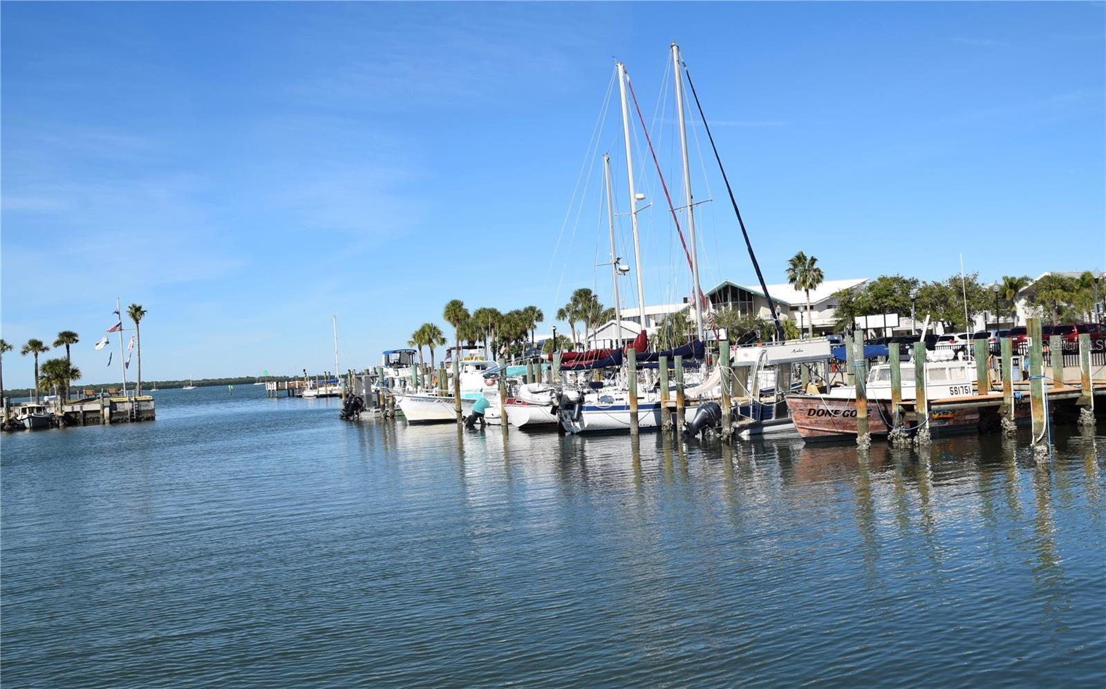 1455 FAIRWAY DR, DUNEDIN, FL, 34698