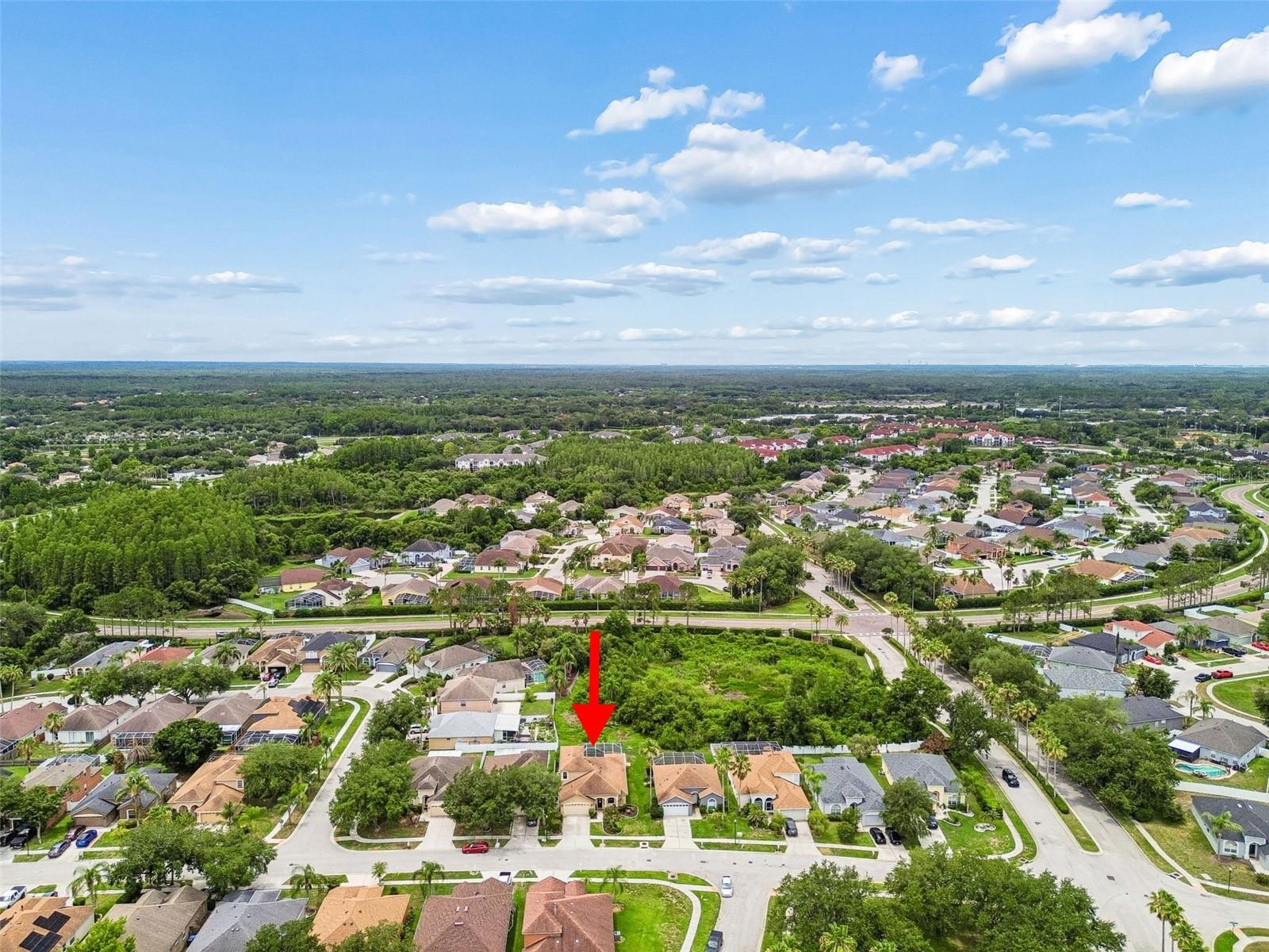 10409 GOLDENBROOK WAY, TAMPA, FL, 33647