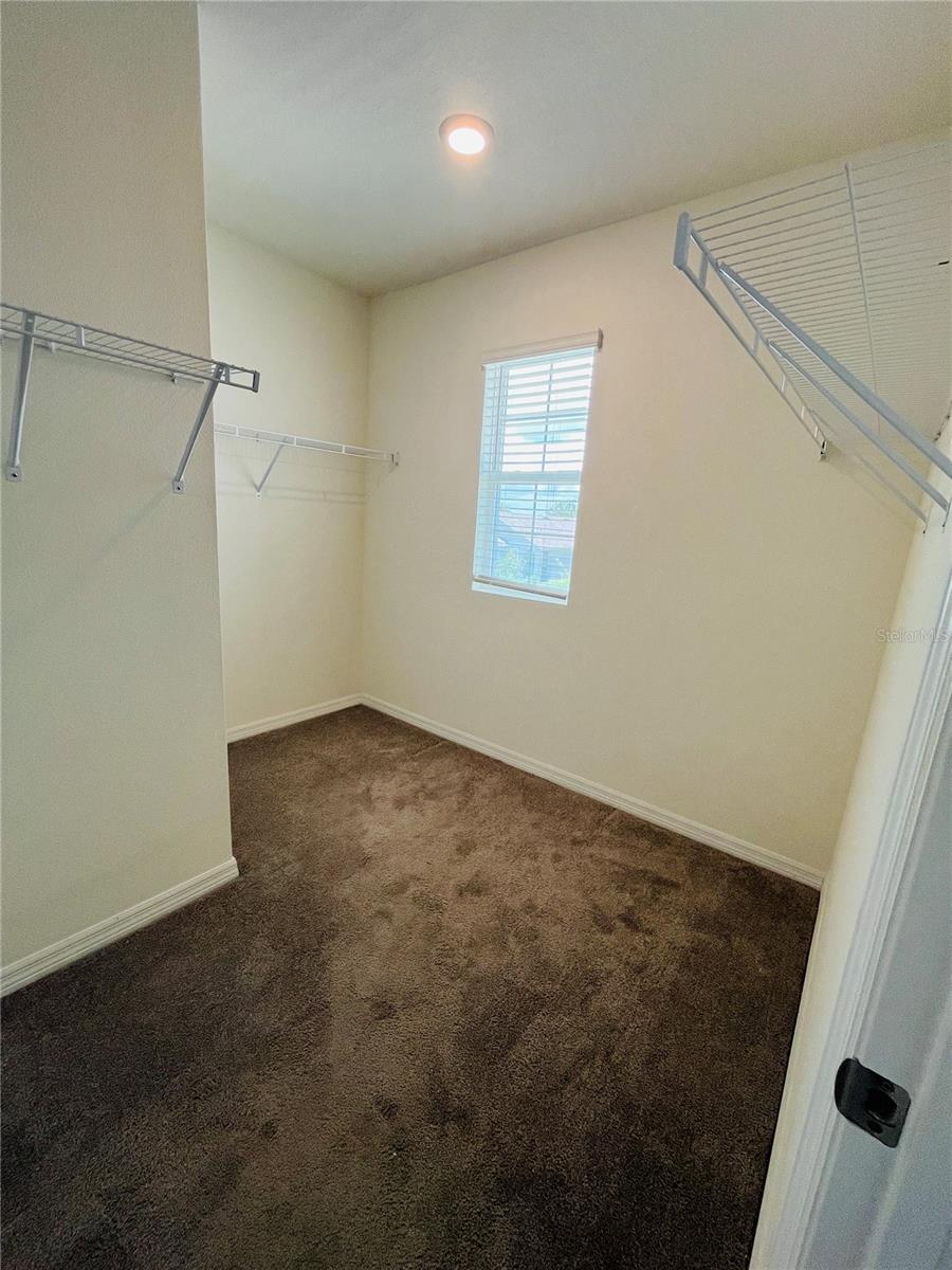 10624 PENNY GALE LOOP, SAN ANTONIO, FL, 33576