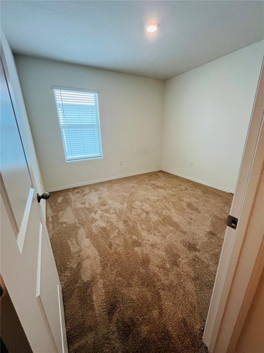 10624 PENNY GALE LOOP, SAN ANTONIO, FL, 33576