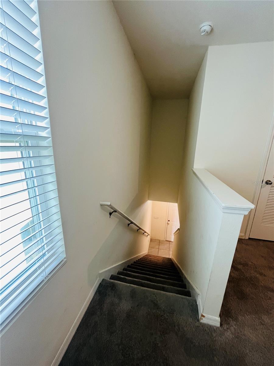 10624 PENNY GALE LOOP, SAN ANTONIO, FL, 33576