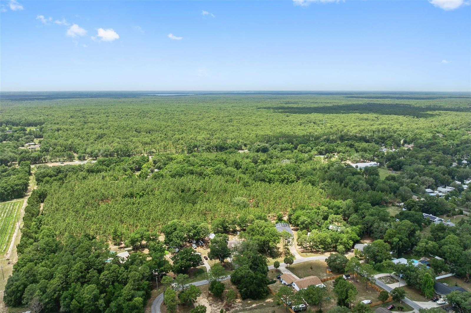 25335 MARDON CIR, PAISLEY, FL, 32767