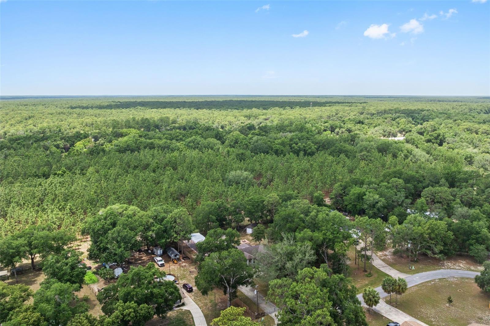 25335 MARDON CIR, PAISLEY, FL, 32767