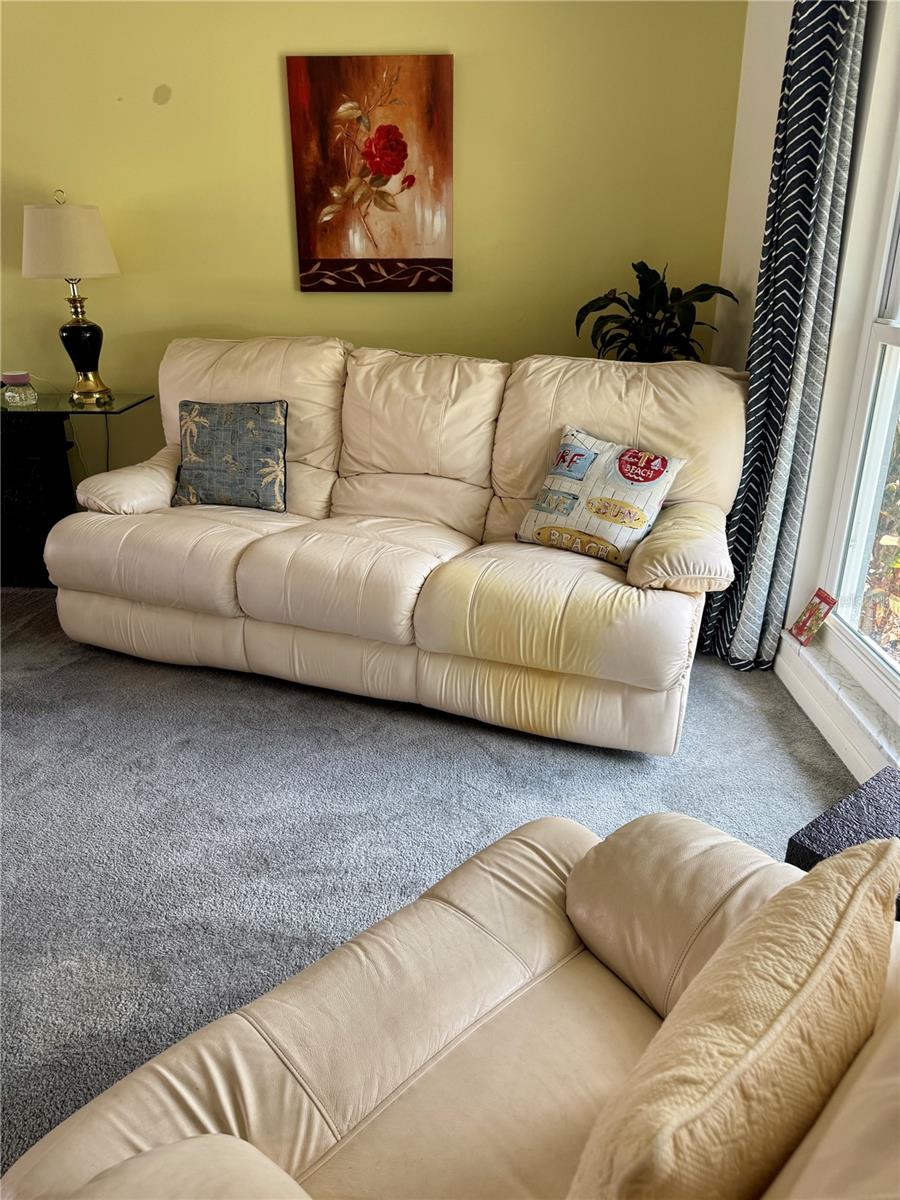 17109 RAINBOW TERRACE, ODESSA, FL, 33556