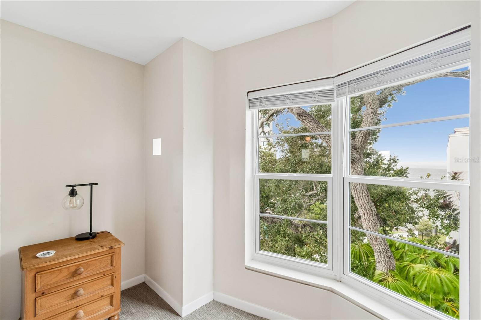 4950 BAYSHORE BLVD #30, TAMPA, FL, 33611