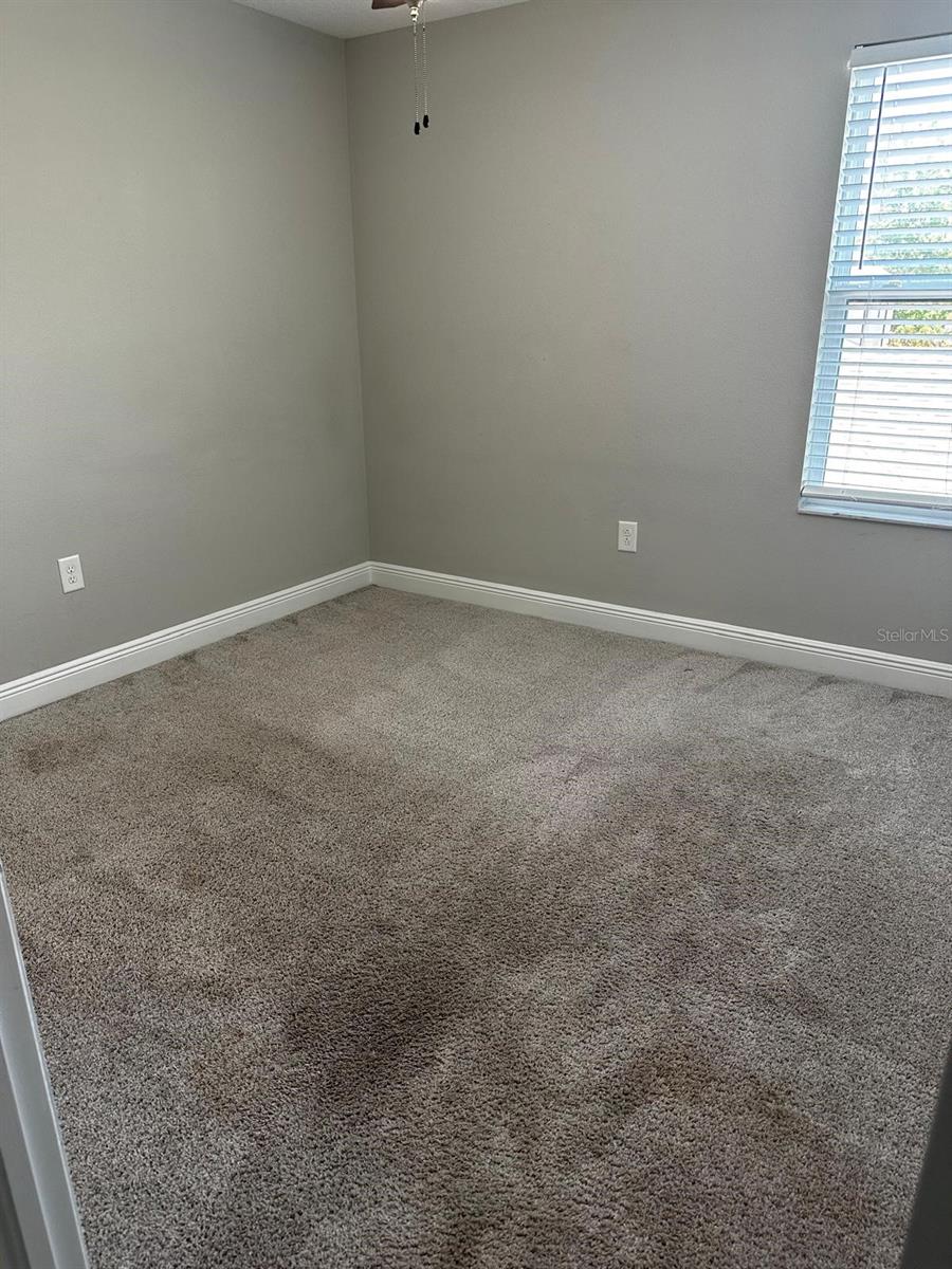 13023 BATTEN LN, ODESSA, FL, 33556