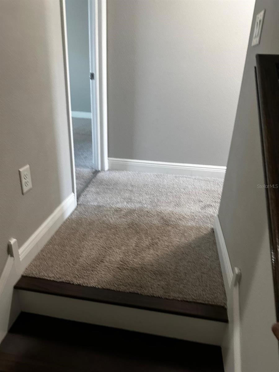 13023 BATTEN LN, ODESSA, FL, 33556