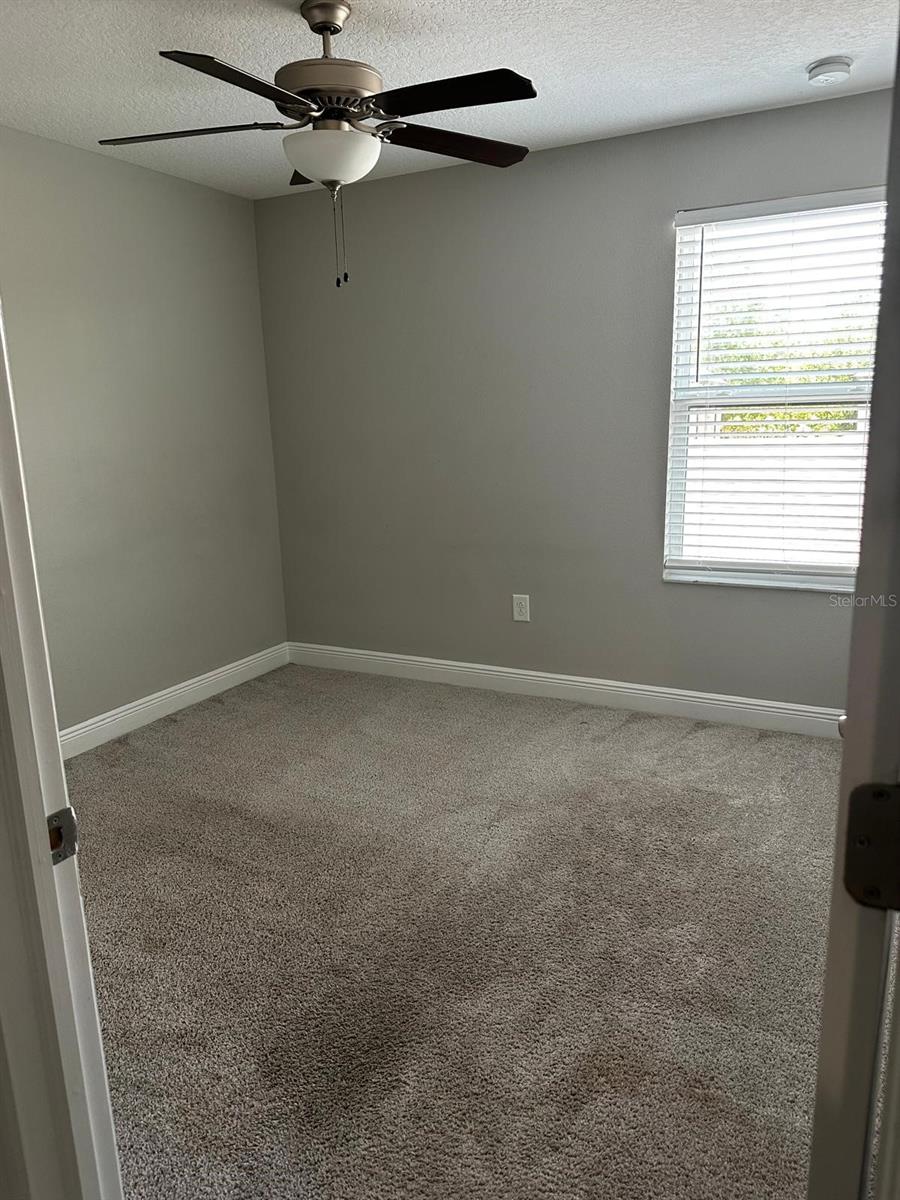 13023 BATTEN LN, ODESSA, FL, 33556