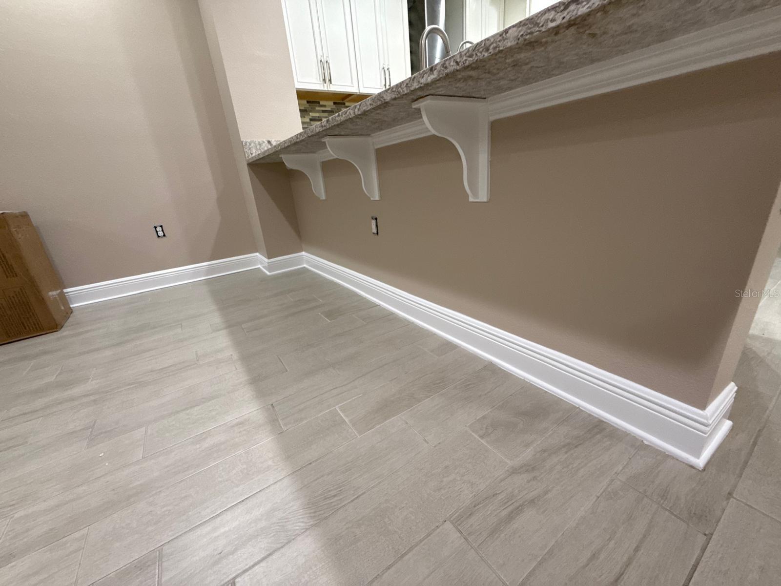 13023 BATTEN LN, ODESSA, FL, 33556