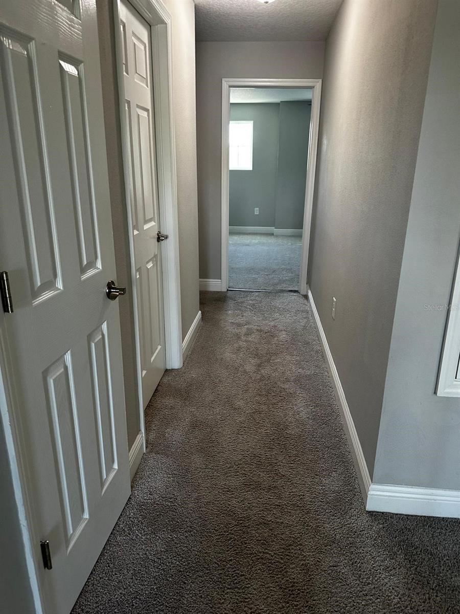 13023 BATTEN LN, ODESSA, FL, 33556