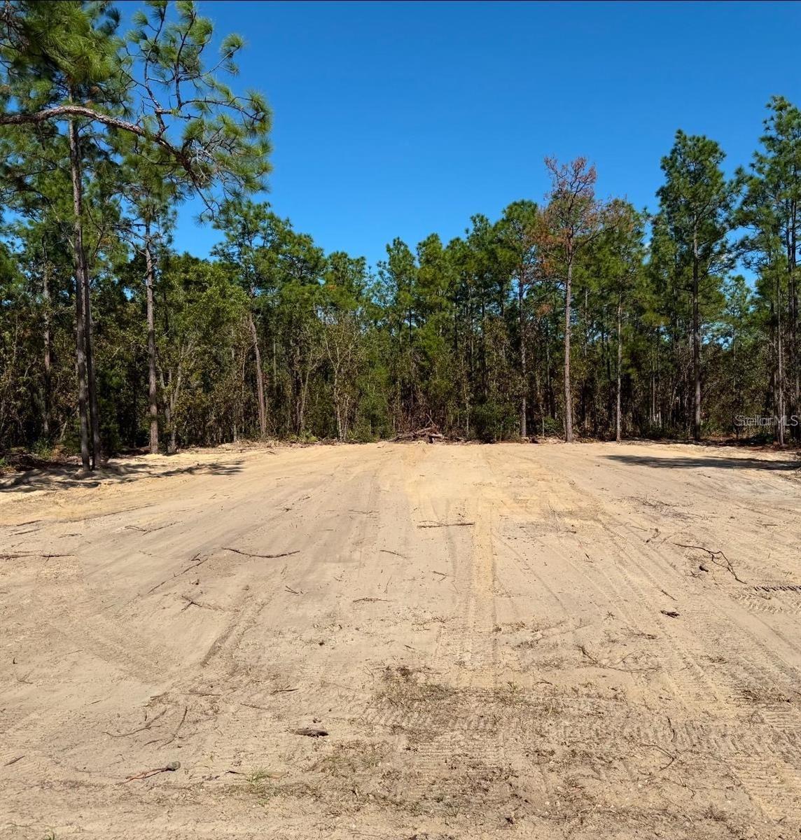 13831 SW 89TH CIR, OCALA, FL, 34473