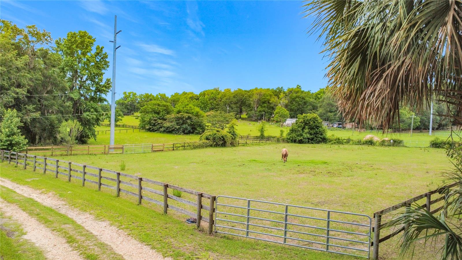 1919 NW 100TH ST, OCALA, FL, 34475