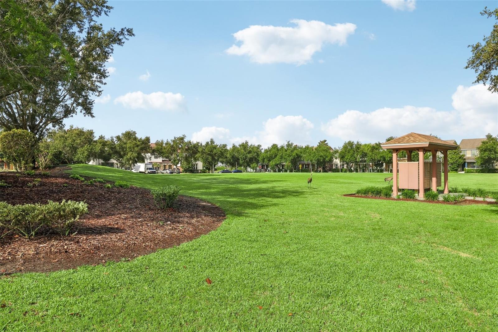 6412 GOLDEN DEWDROP TRL, WINDERMERE, FL, 34786