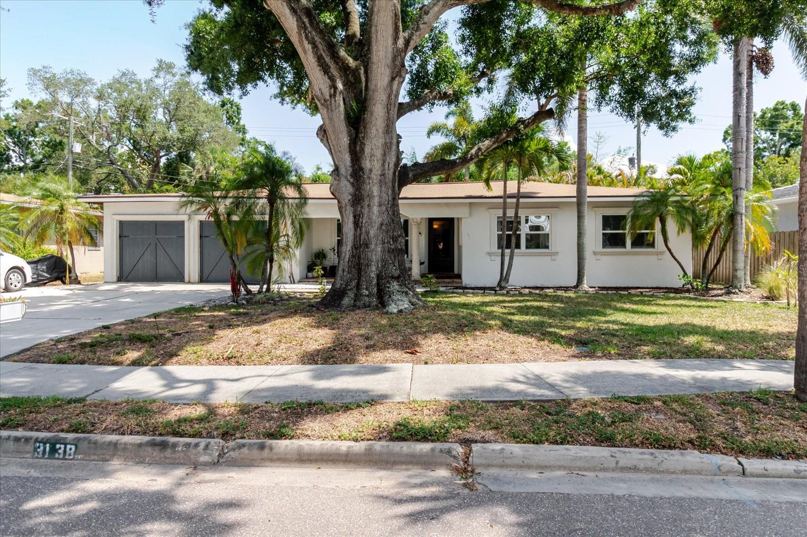 3138 W EUCLID AVE, TAMPA, FL, 33629