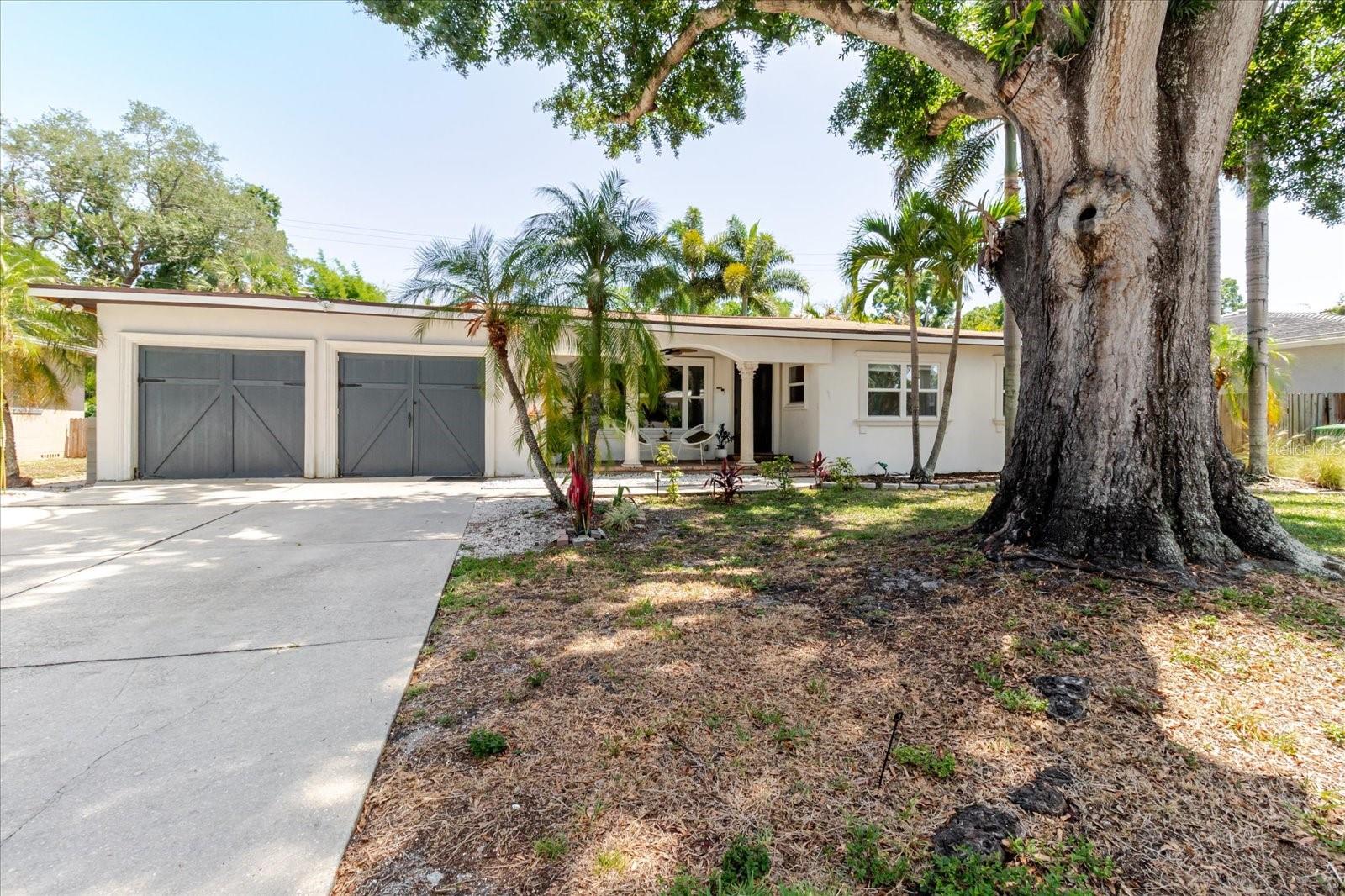 3138 W EUCLID AVE, TAMPA, FL, 33629