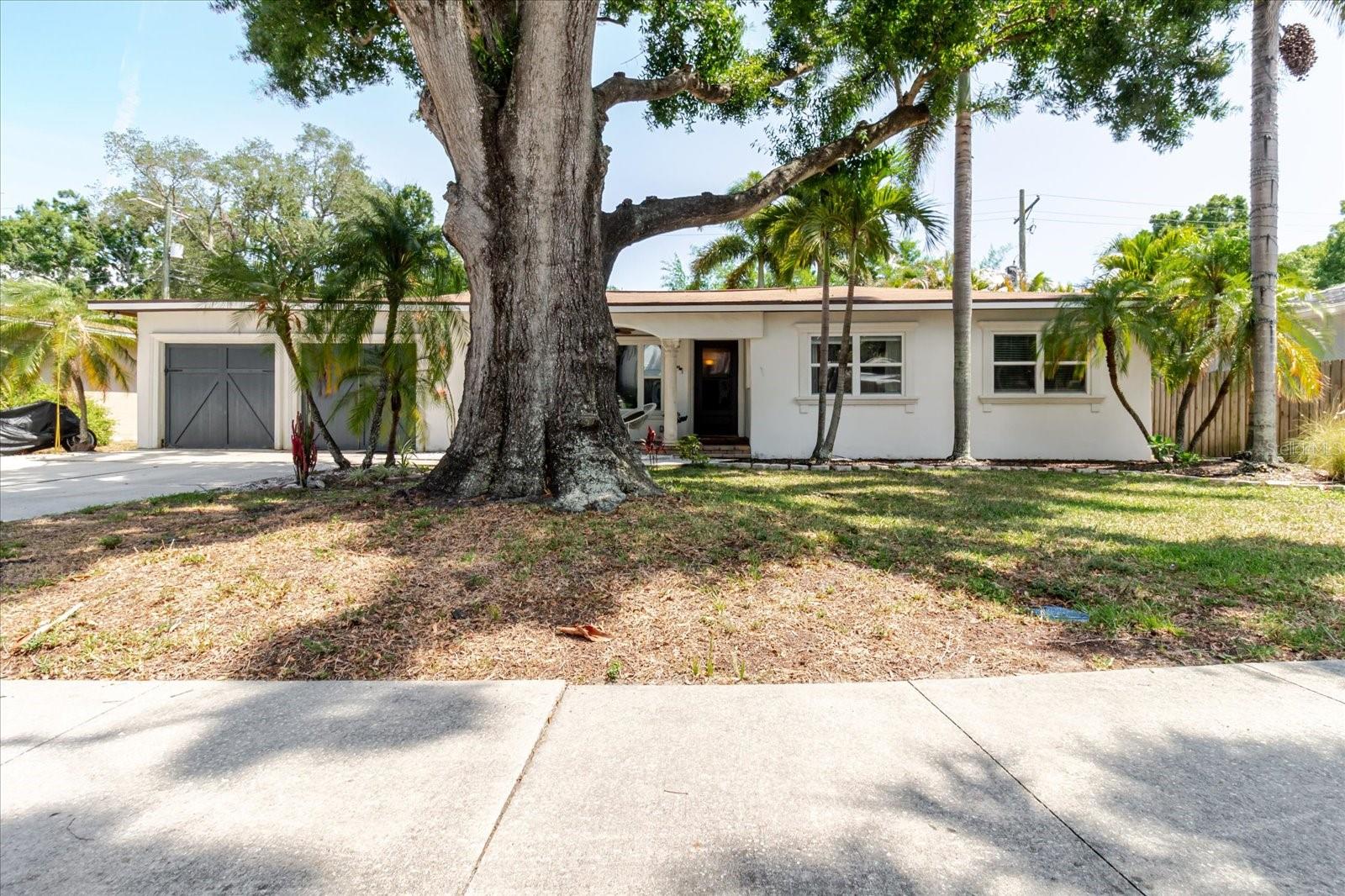 3138 W EUCLID AVE, TAMPA, FL, 33629