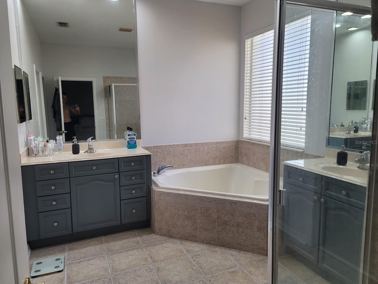 7011 NOBLETON DR, WINDERMERE, FL, 34786
