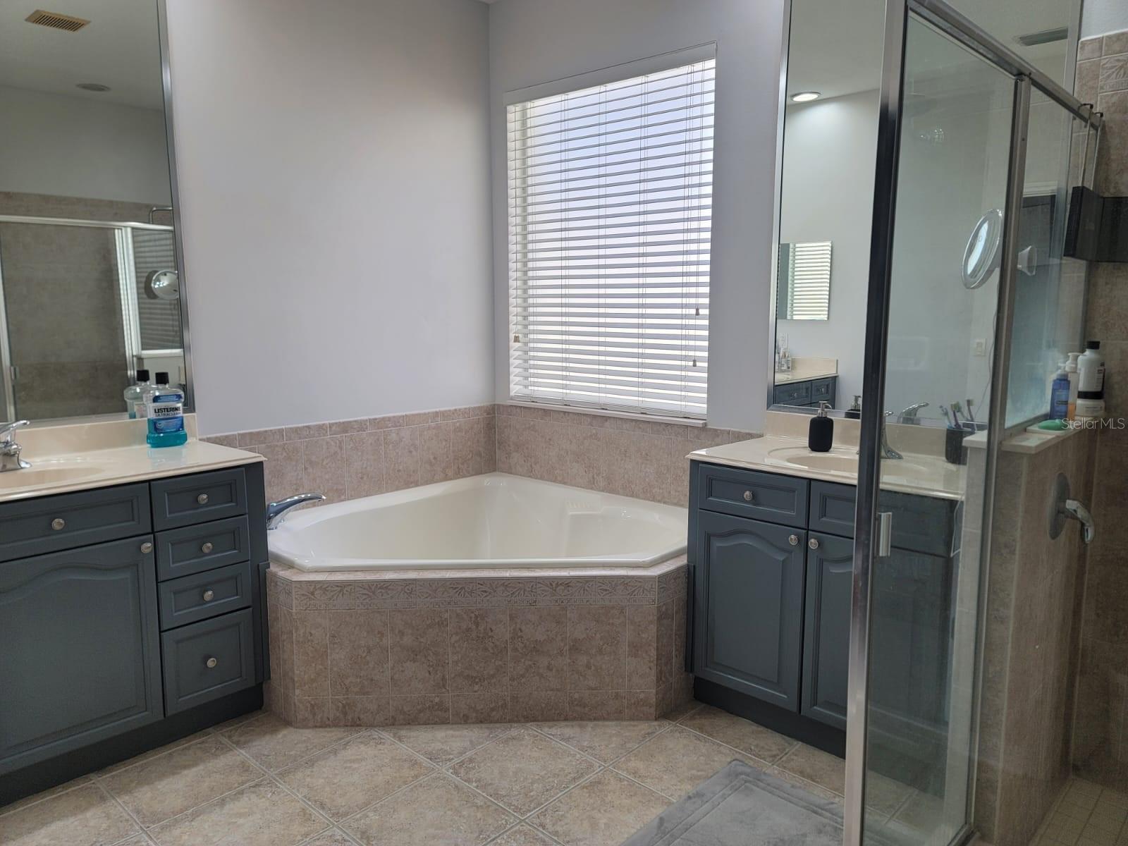 7011 NOBLETON DR, WINDERMERE, FL, 34786