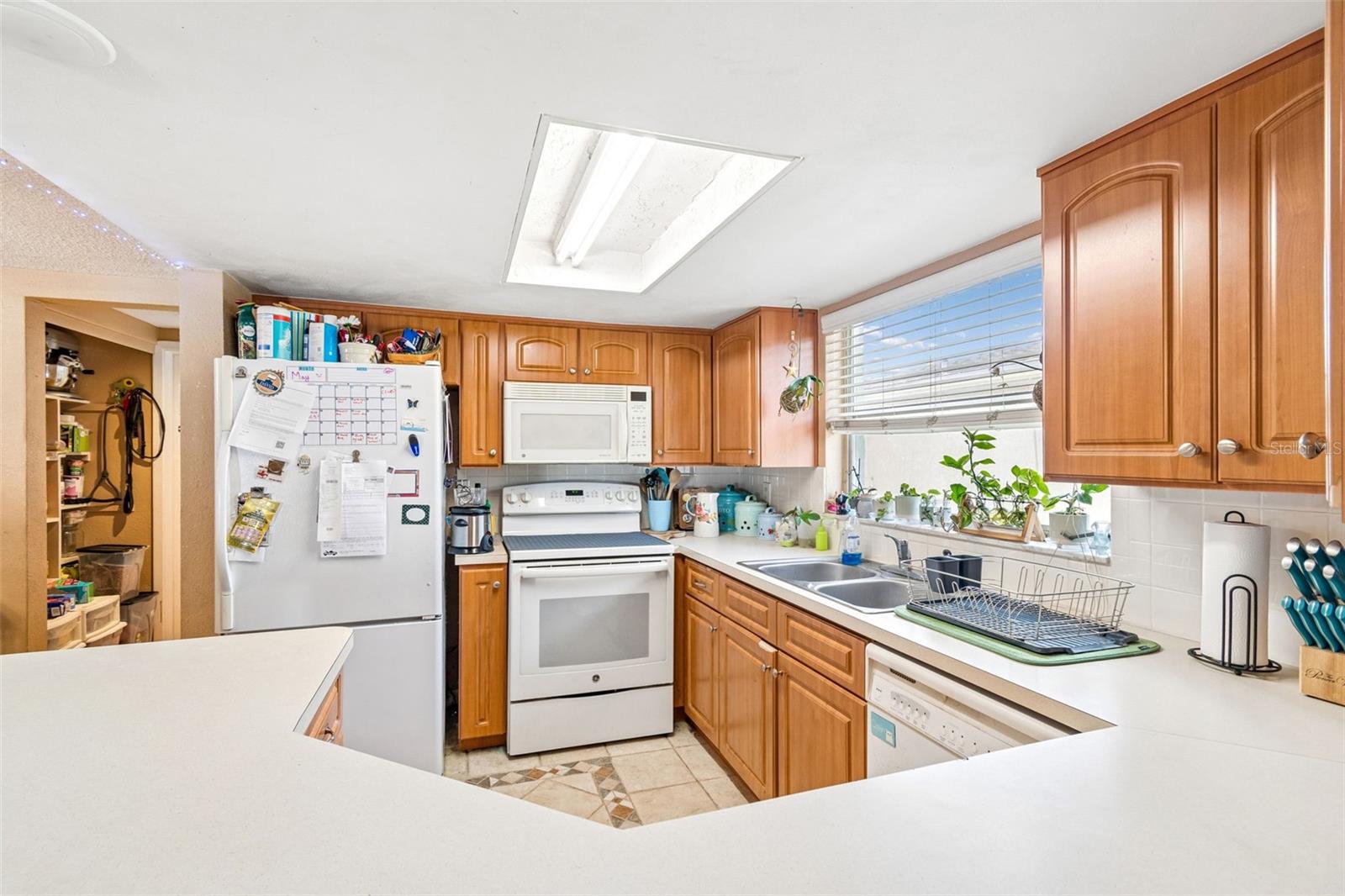9221 RAINBOW LN, PORT RICHEY, FL, 34668
