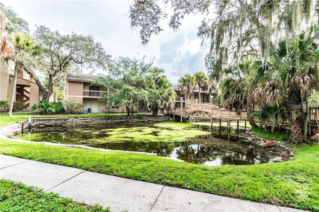 7502 NEEDLE LEAF PL #66, TAMPA, FL, 33617