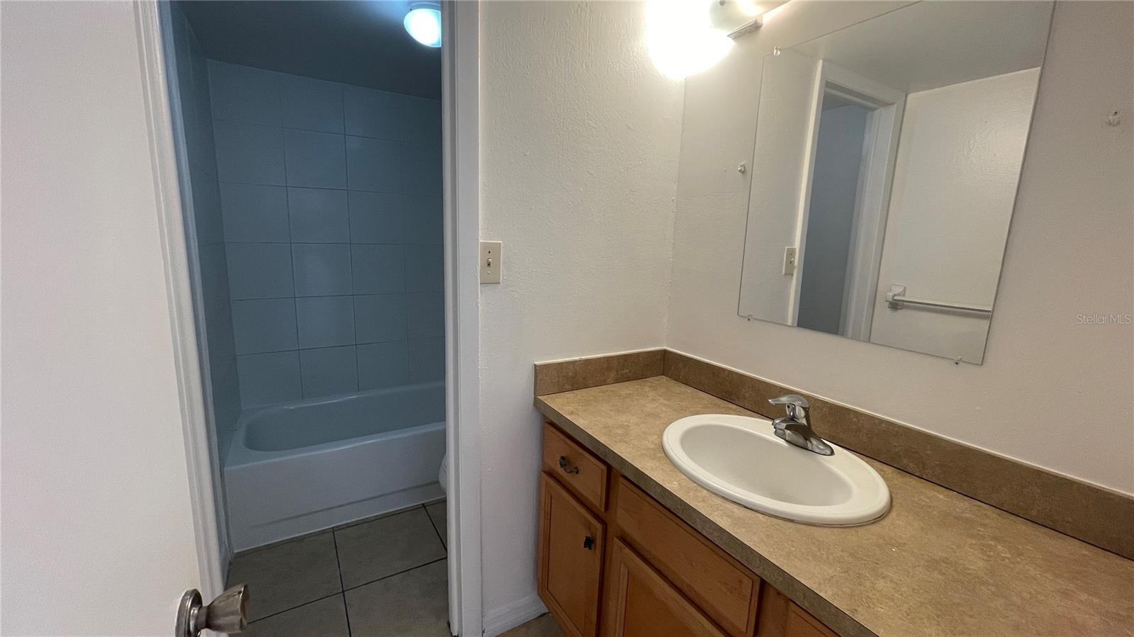 7502 NEEDLE LEAF PL #66, TAMPA, FL, 33617