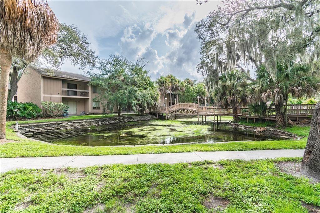 7502 NEEDLE LEAF PL #66, TAMPA, FL, 33617