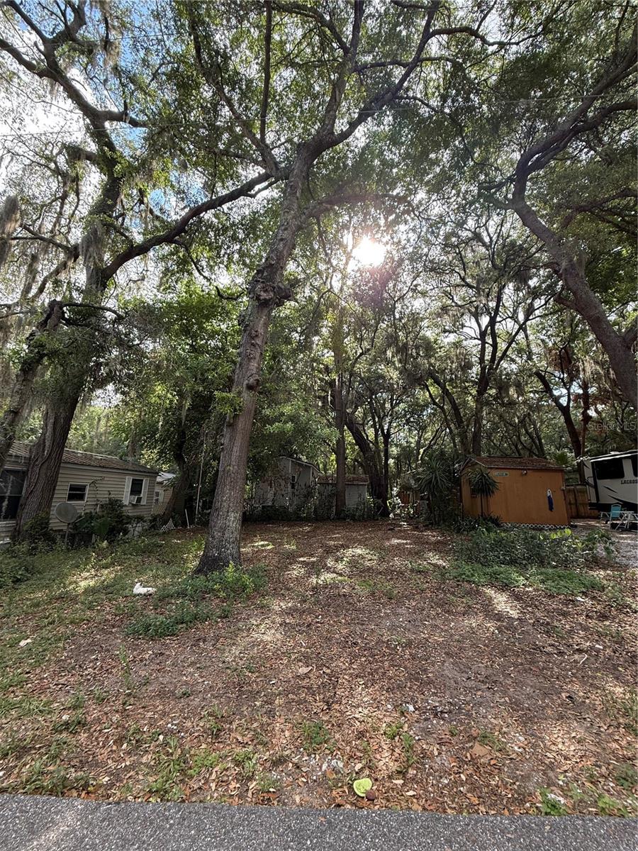 3000 CLARCONA RD #1116, APOPKA, FL, 32703
