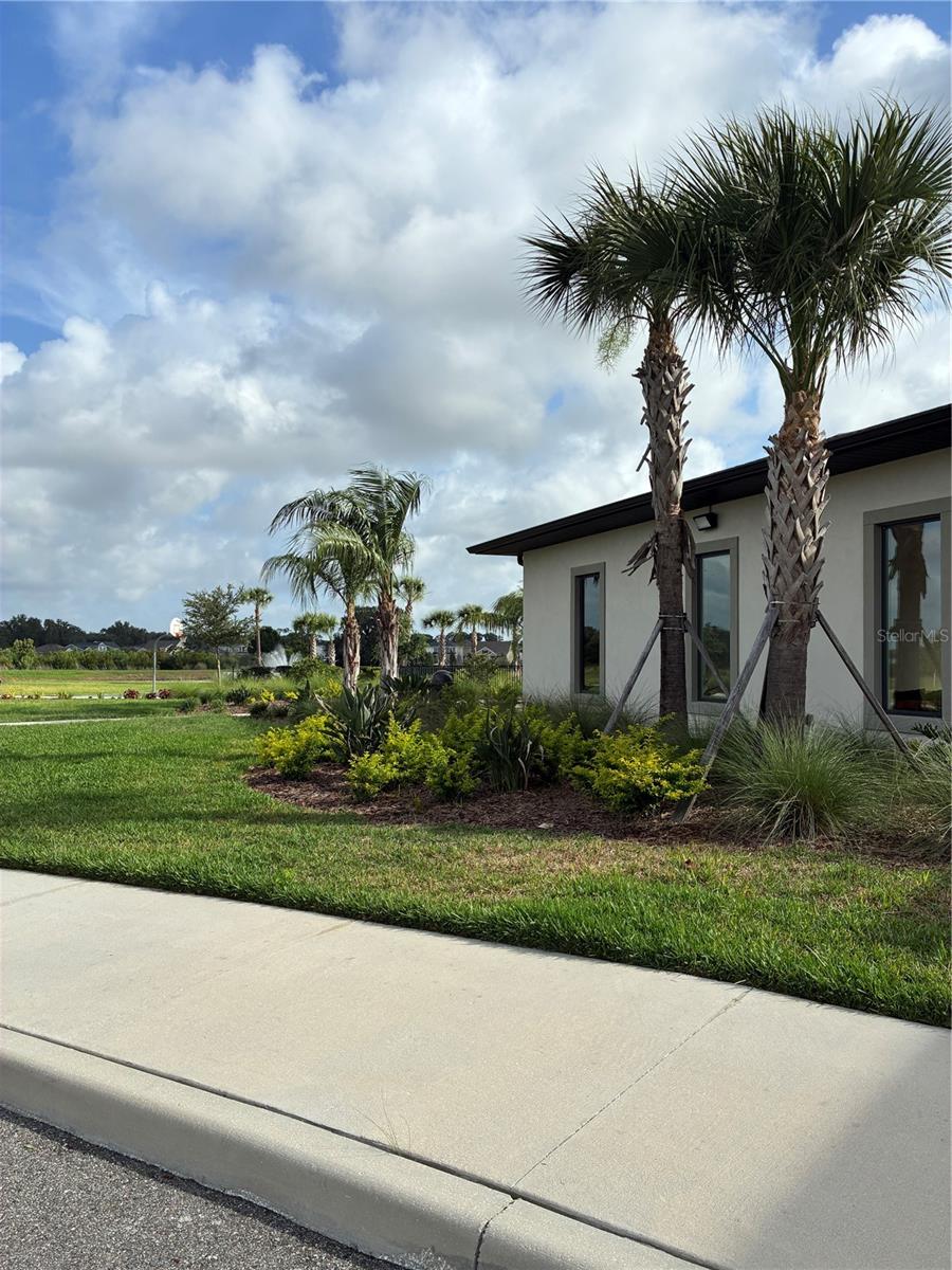 2755 COMMON FIG RUN, WESLEY CHAPEL, FL, 33543