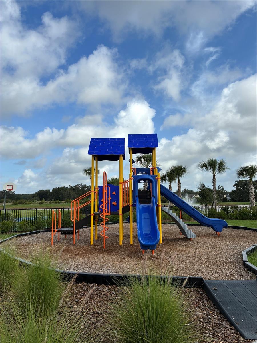 2755 COMMON FIG RUN, WESLEY CHAPEL, FL, 33543