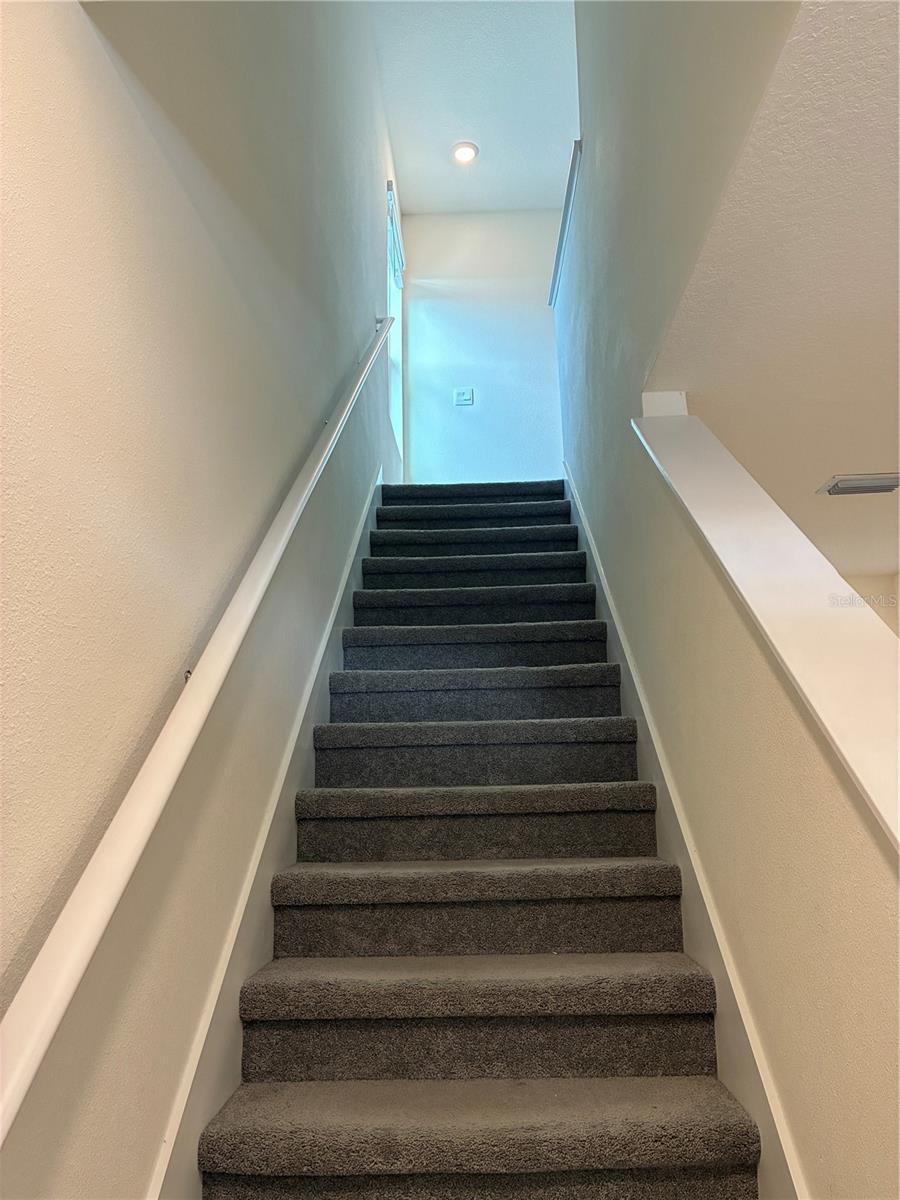 2755 COMMON FIG RUN, WESLEY CHAPEL, FL, 33543