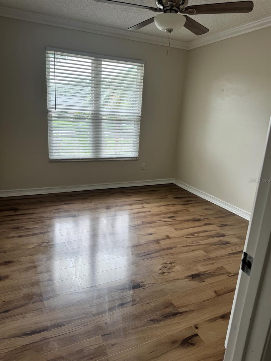 3306 LAKE SAXON DR, LAND O LAKES, FL, 34639