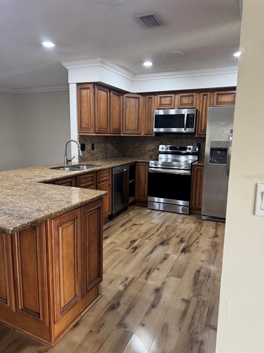 3306 LAKE SAXON DR, LAND O LAKES, FL, 34639