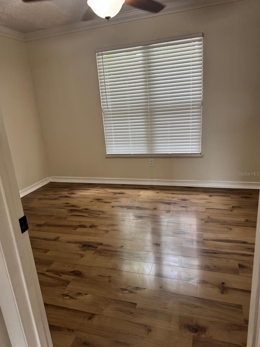 3306 LAKE SAXON DR, LAND O LAKES, FL, 34639