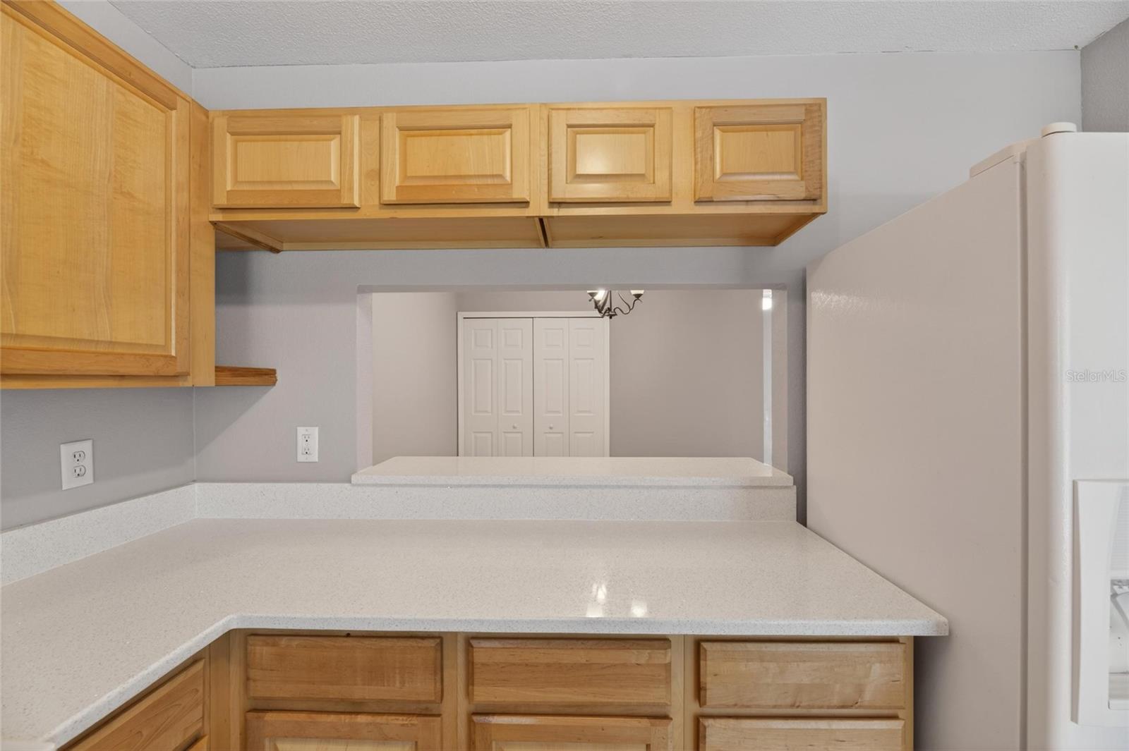 2258 FLUORSHIRE DR, BRANDON, FL, 33511