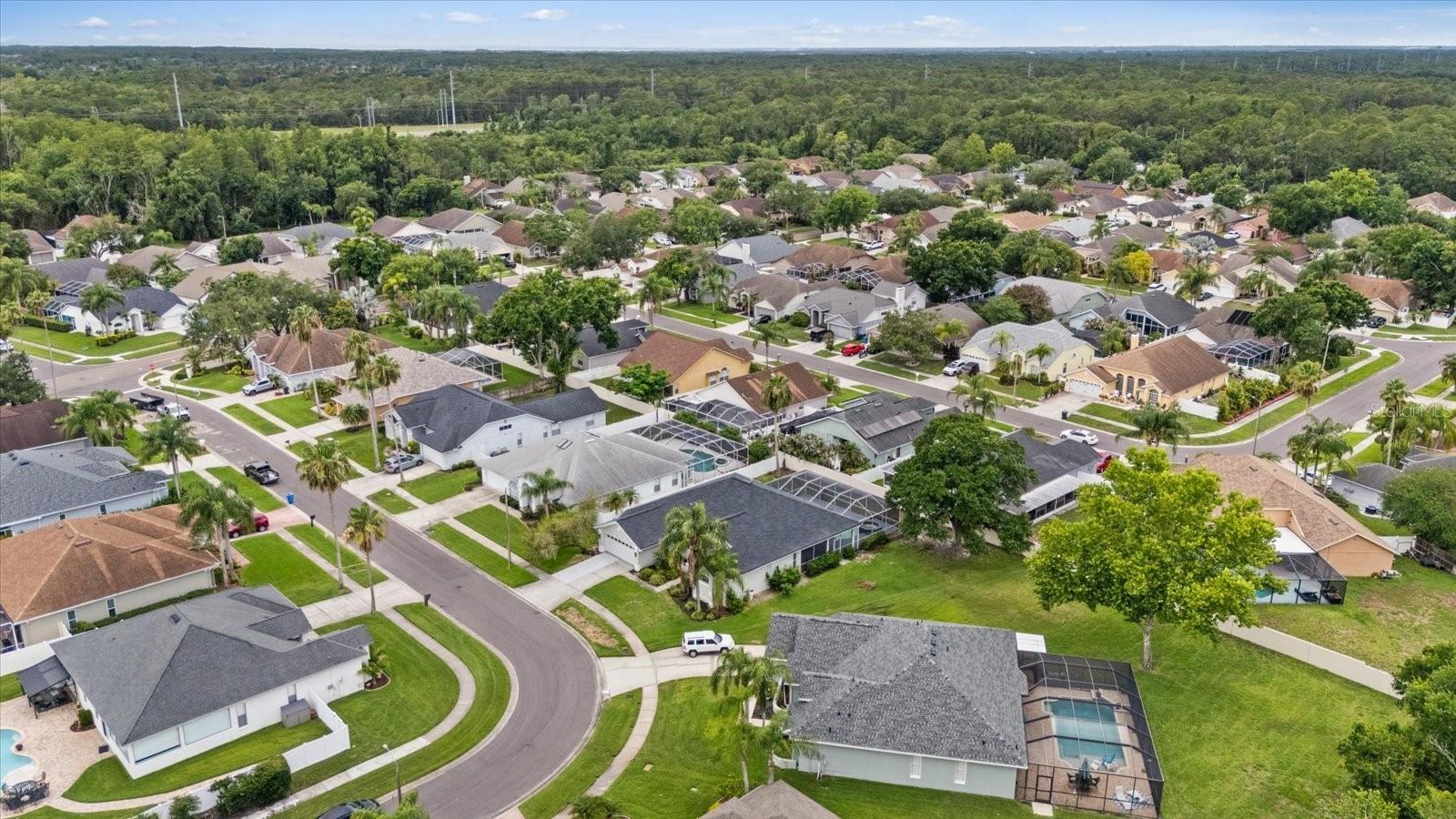 13417 IOLA DR, TAMPA, FL, 33626