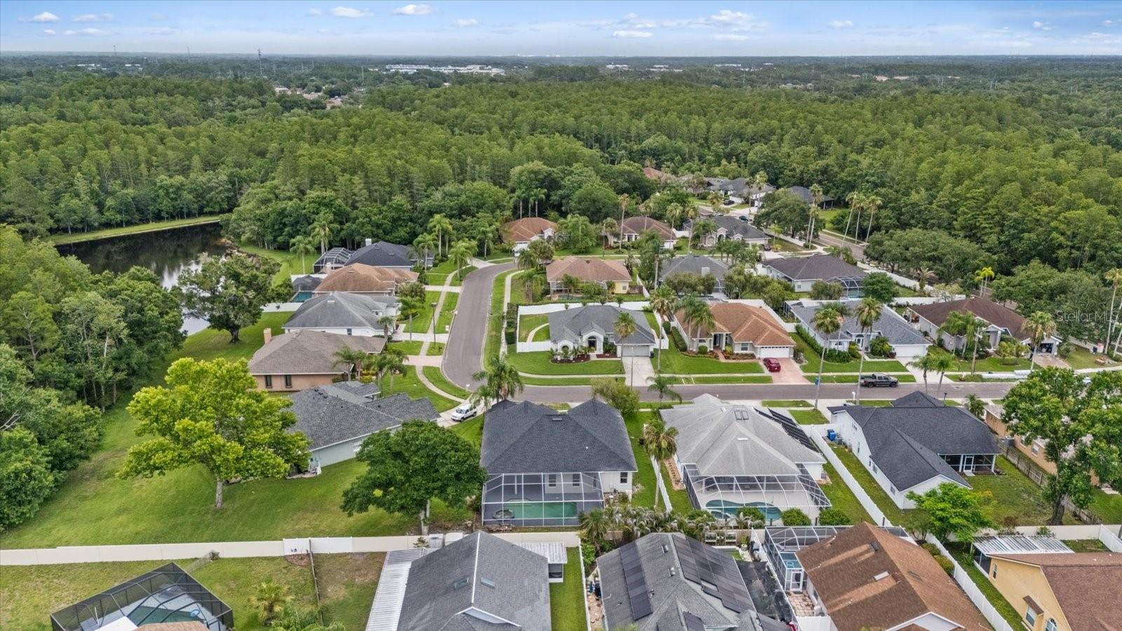 13417 IOLA DR, TAMPA, FL, 33626