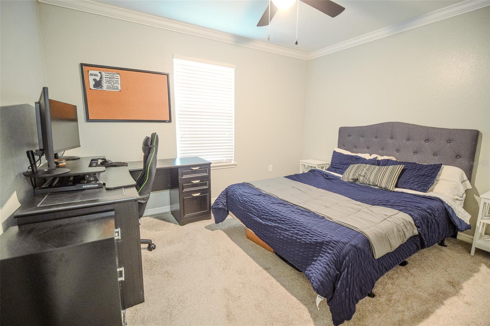 1928 GREENWOOD VALLEY DR, PLANT CITY, FL, 33563