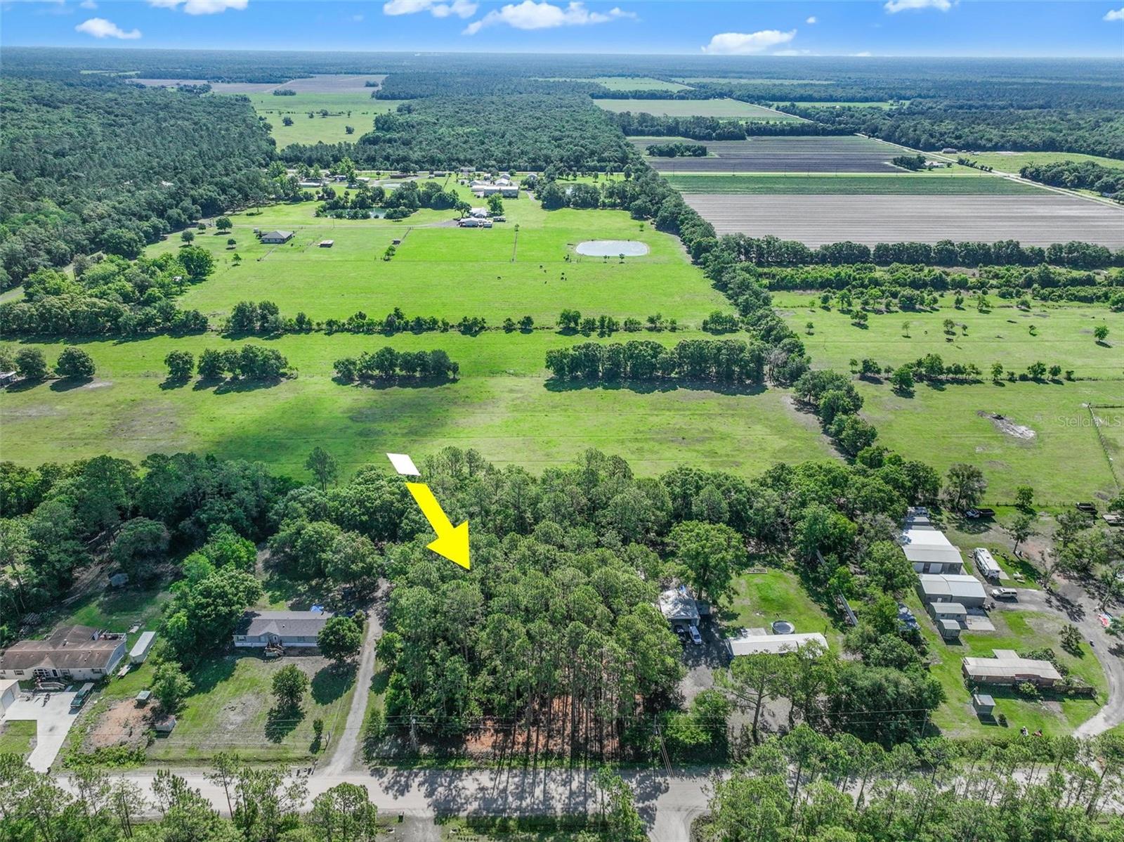 2679 FOREST PARK ST, BUNNELL, FL, 32110